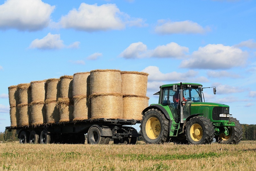 Agrarpaket der Bundesregierung: Handel warnt vor Novelle des Agrarorganisationen-und-Lieferkettengesetzes